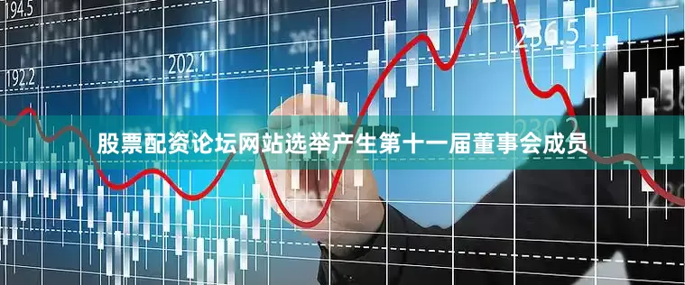 股票配资论坛网站选举产生第十一届董事会成员